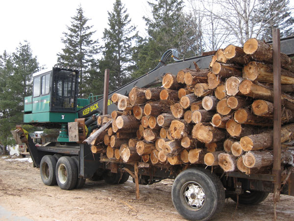 Trucking from the Log Yard
